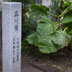 品川宿