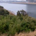多摩川