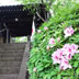 保土ヶ谷宿 脇本陣跡、樹源寺