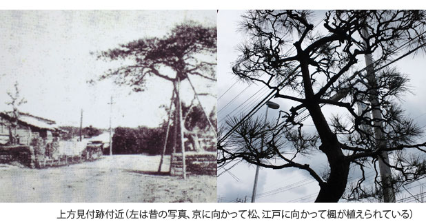 戸塚宿　上方見付付近