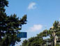 6.藤沢 - 湘南の風を受けて歩く