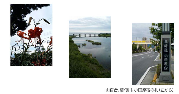 小田原宿 酒匂川