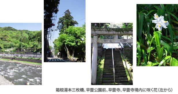 箱根宿　早雲寺