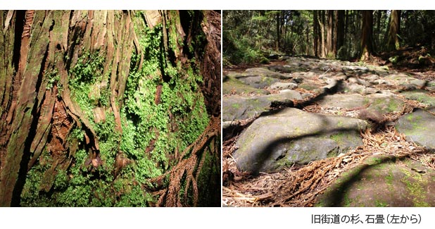 箱根旧街道