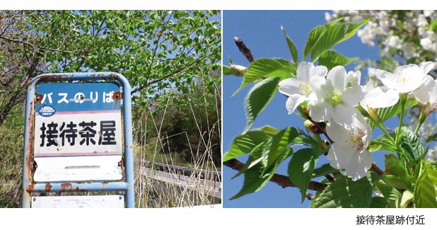 箱根宿　接待茶屋跡付近