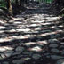箱根旧街道