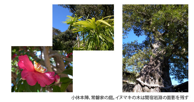 小休本陣　常盤家の庭