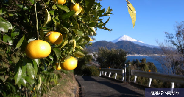 さった峠へ