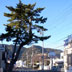 千手の里手越