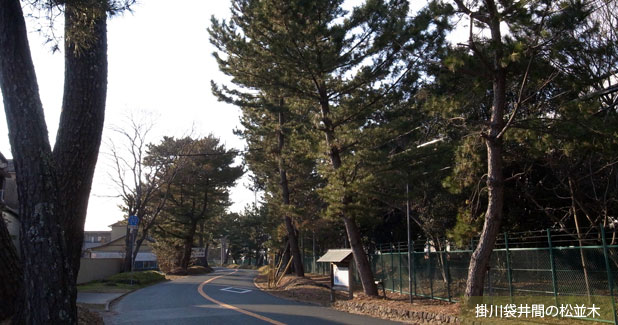 袋井宿
