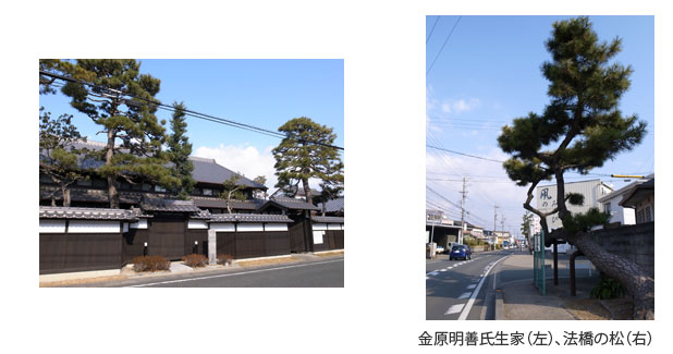横町通り