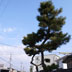 横町通り