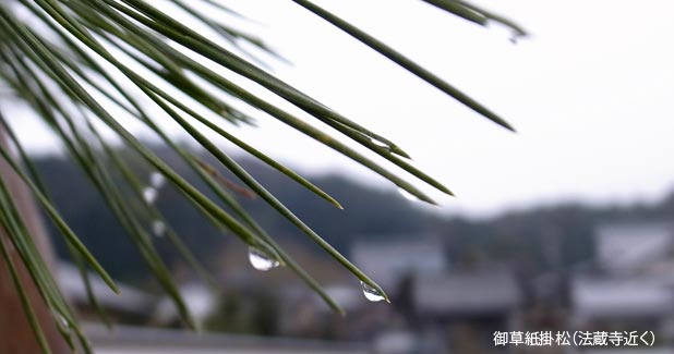 御草紙掛松