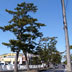 柿崎交差点