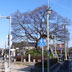 笹寺一里塚