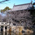 王林山笠覆寺