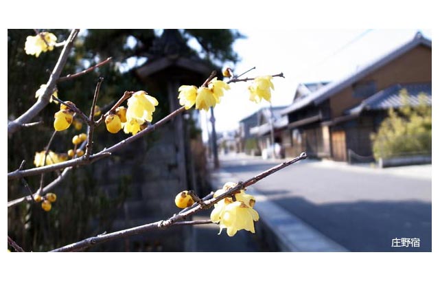 45.庄野 - 畑の中に続く旧道