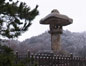 49.土山-狭山茶が冷えた体をあたためた