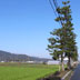 石部宿