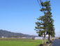 51.石部 - いしべ宿驛で一休み