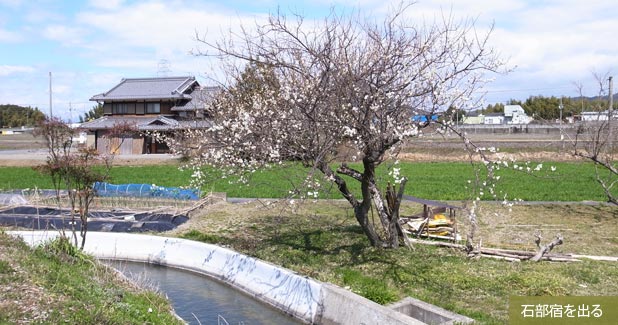 石部宿を出る