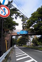 大磯