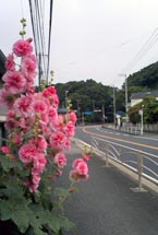 大磯