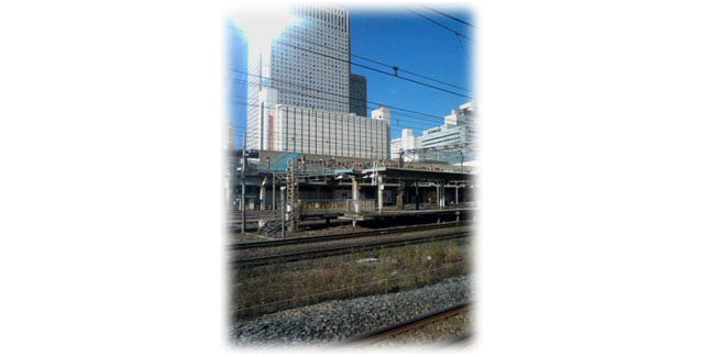 真冬の東京を巡る旅