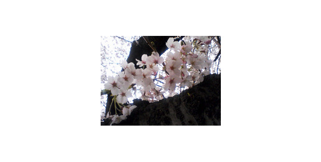 平塚