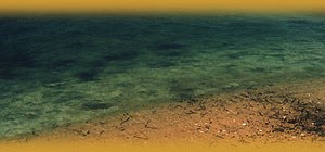 n}bg